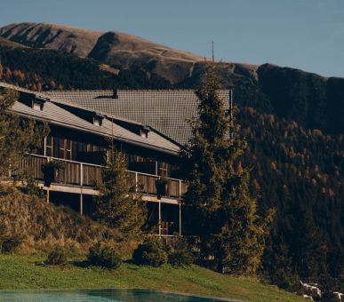 Картинка Forestis 2 Фото Forestis 2