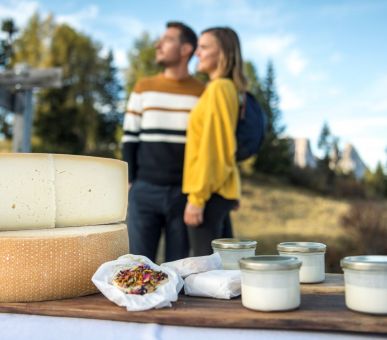 Фото COMO Alpina Dolomites 23