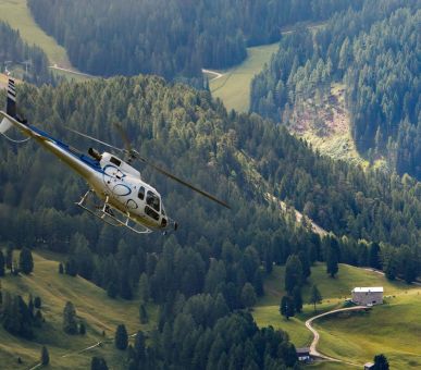 Фото COMO Alpina Dolomites 22