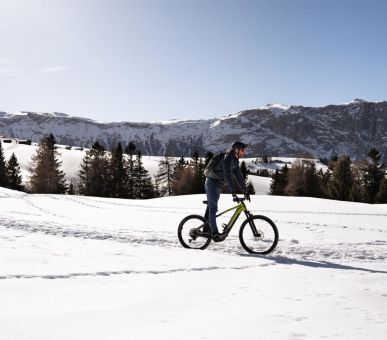 Фото COMO Alpina Dolomites 15