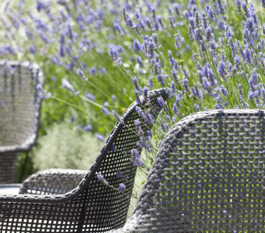 Картинка Mandarin Oriental (Испания, Барселона) 19 Фото Mandarin Oriental (Испания, Барселона) 19