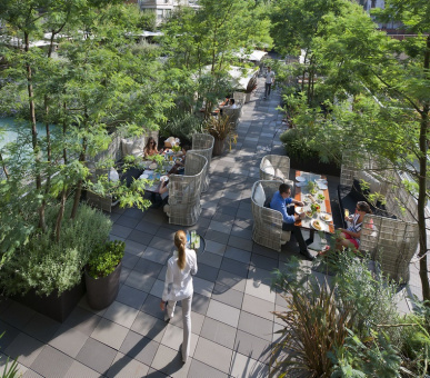 Картинка Mandarin Oriental (Испания, Барселона) 18 Фото Mandarin Oriental (Испания, Барселона) 18