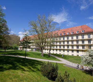 Картинка 14 Фото 14