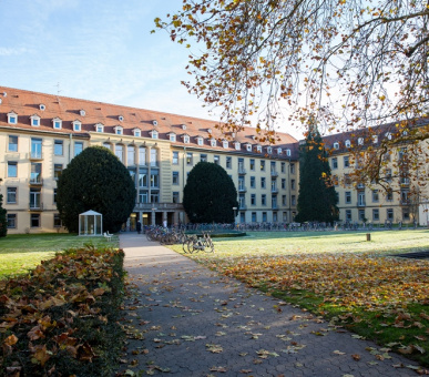 Картинка 12 Фото 12