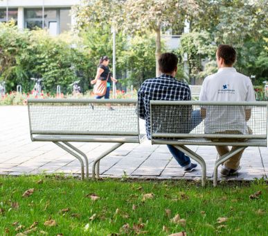 Картинка 2 Фото 2