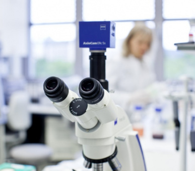 Картинка 13 Фото 13