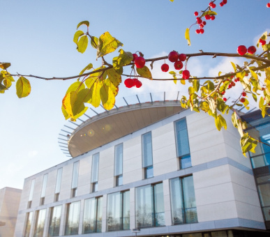 Картинка 27 Фото 27