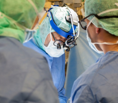 Картинка 11 Фото 11