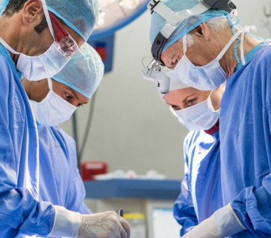 Картинка 26 Фото 26