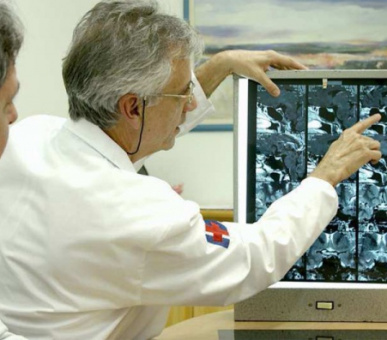 Картинка Университетская клиника г. Фрайбурга (Германия, Фрайбург) 5 Фото Университетская клиника г. Фрайбурга (Германия, Фрайбург) 5