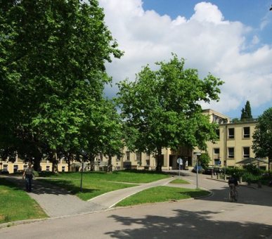 Картинка 24 Фото 24