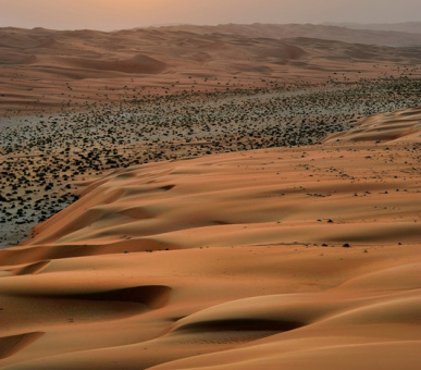 Картинка Qasr Al Sarab Desert Resort by Anantara (ОАЭ, Абу-Даби) 24 Фото Qasr Al Sarab Desert Resort by Anantara (ОАЭ, Абу-Даби) 24