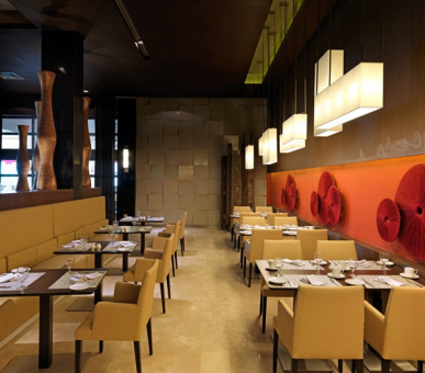 Картинка Paradisus Playa del Carmen - La Esmeralda (Мексика, Плайя Дель Кармен) 16 Фото Paradisus Playa del Carmen - La Esmeralda (Мексика, Плайя Дель Кармен) 16