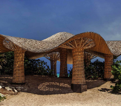 Картинка 13 Фото 13