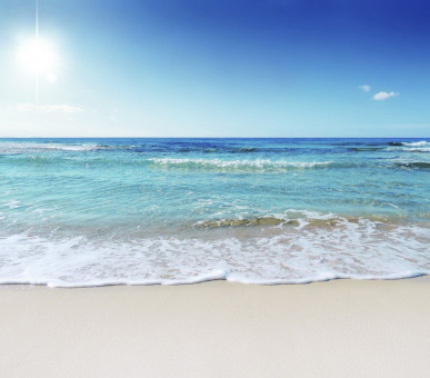 Картинка 10 Фото 10