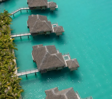 Картинка The St. Regis Bora Bora Resort (Французская Полинезия, о. Бора Бора) 41 Фото The St. Regis Bora Bora Resort (Французская Полинезия, о. Бора Бора) 41