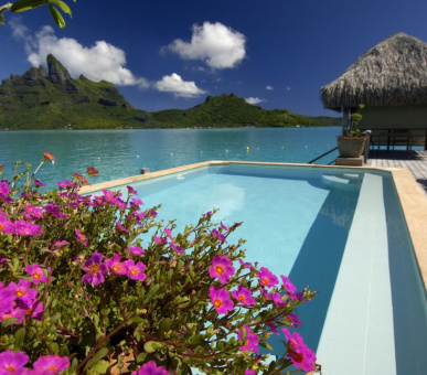 Картинка The St. Regis Bora Bora Resort (Французская Полинезия, о. Бора Бора) 22 Фото The St. Regis Bora Bora Resort (Французская Полинезия, о. Бора Бора) 22