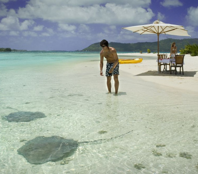 Картинка Hilton Bora Bora Nui Resort 33 Фото Hilton Bora Bora Nui Resort 33