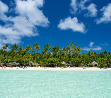 Картинка Bora Bora Pearl Beach Resort (Французская Полинезия, о. Бора Бора) 34 Фото Bora Bora Pearl Beach Resort (Французская Полинезия, о. Бора Бора) 34