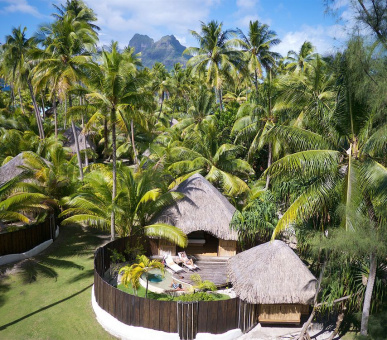 Картинка Bora Bora Pearl Beach Resort (Французская Полинезия, о. Бора Бора) 32 Фото Bora Bora Pearl Beach Resort (Французская Полинезия, о. Бора Бора) 32
