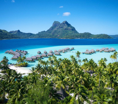Картинка Bora Bora Pearl Beach Resort (Французская Полинезия, о. Бора Бора) 36 Фото Bora Bora Pearl Beach Resort (Французская Полинезия, о. Бора Бора) 36