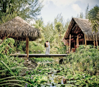 Картинка Bora Bora Pearl Beach Resort (Французская Полинезия, о. Бора Бора) 39 Фото Bora Bora Pearl Beach Resort (Французская Полинезия, о. Бора Бора) 39