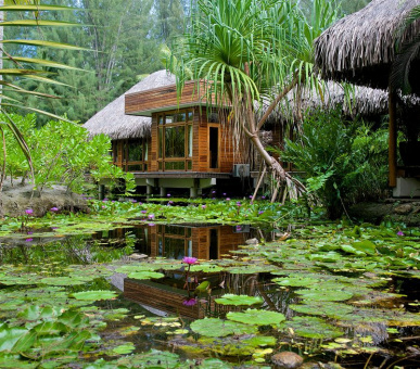 Картинка Bora Bora Pearl Beach Resort (Французская Полинезия, о. Бора Бора) 28 Фото Bora Bora Pearl Beach Resort (Французская Полинезия, о. Бора Бора) 28