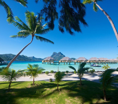 Картинка Bora Bora Pearl Beach Resort (Французская Полинезия, о. Бора Бора) 41 Фото Bora Bora Pearl Beach Resort (Французская Полинезия, о. Бора Бора) 41
