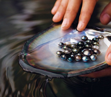 Картинка Four Seasons Resort Bora Bora (Французская Полинезия, о. Бора Бора) 8 Фото Four Seasons Resort Bora Bora (Французская Полинезия, о. Бора Бора) 8