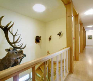 Картинка Хоффманн (Венгрия, Охотничьи дома Венгрии) 3 Фото Хоффманн (Венгрия, Охотничьи дома Венгрии) 3