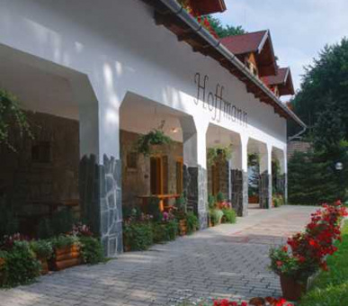 Картинка Хоффманн (Венгрия, Охотничьи дома Венгрии) 7 Фото Хоффманн (Венгрия, Охотничьи дома Венгрии) 7