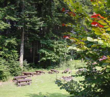 Картинка Хоффманн (Венгрия, Охотничьи дома Венгрии) 2 Фото Хоффманн (Венгрия, Охотничьи дома Венгрии) 2