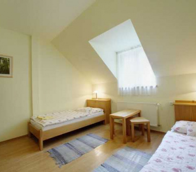 Картинка Хоффманн (Венгрия, Охотничьи дома Венгрии) 8 Фото Хоффманн (Венгрия, Охотничьи дома Венгрии) 8