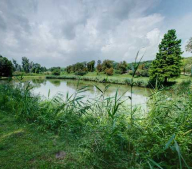 Картинка Дьярматпуста (Венгрия, Охотничьи дома Венгрии) 8 Фото Дьярматпуста (Венгрия, Охотничьи дома Венгрии) 8