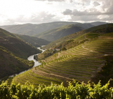 Картинка The Yeatman (Португалия, Порто) 20 Фото The Yeatman (Португалия, Порто) 20