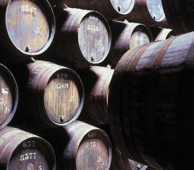 Картинка The Yeatman (Португалия, Порто) 22 Фото The Yeatman (Португалия, Порто) 22