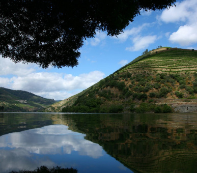 Картинка Six Senses Douro Valley (Португалия, Порто) 46 Фото Six Senses Douro Valley (Португалия, Порто) 46