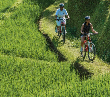 Картинка Four Seasons Resort Bali at Sayan (Индонезия, Бали) 19 Фото Four Seasons Resort Bali at Sayan (Индонезия, Бали) 19