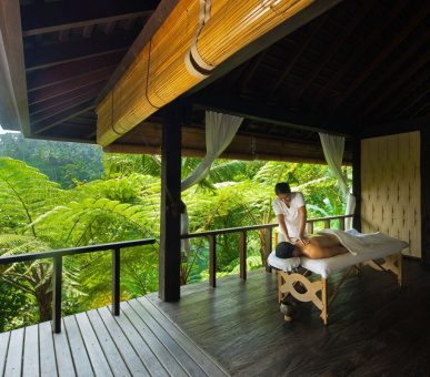 Фото Como Shambala Estate (Бали, Убуд) 29