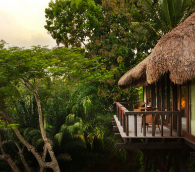 Фото Como Shambala Estate (Бали, Убуд) 45