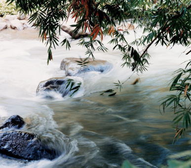 Фото Como Shambala Estate (Бали, Убуд) 28