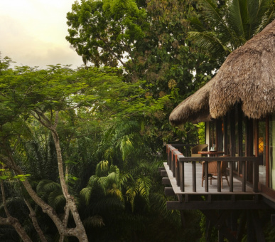 Фото Como Shambala Estate (Бали, Убуд) 14