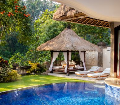 Картинка 3 Фото 3