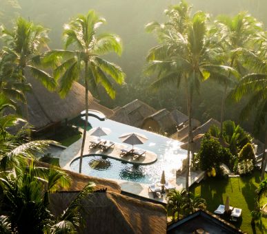 Картинка 1 Фото 1