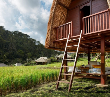 Фото Mandapa, A Ritz-Carlton Reserve (Бали, Убуд) 12