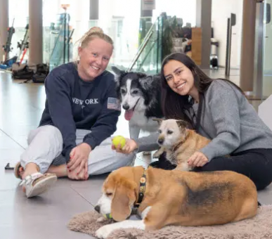 Картинка 9 Фото 9