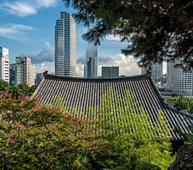 Картинка - Four Seasons Hotel Seoul (, Корея) 8 Фото - Four Seasons Hotel Seoul (, Корея) 8