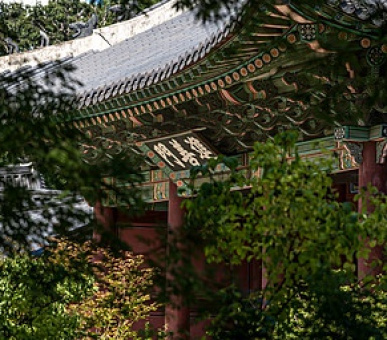 Картинка - Four Seasons Hotel Seoul (, Корея) 12 Фото - Four Seasons Hotel Seoul (, Корея) 12