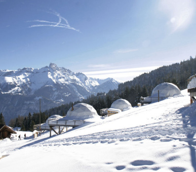 Фото Whitepod Hotel (Швейцария, Монте) 18