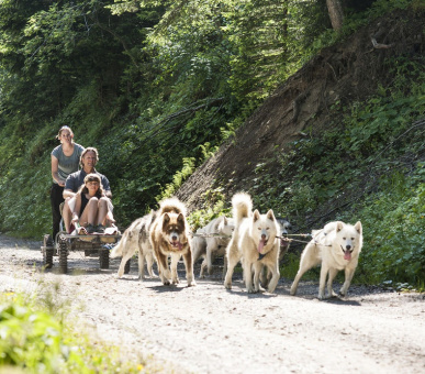 Фото Whitepod Hotel (Швейцария, Монте) 14